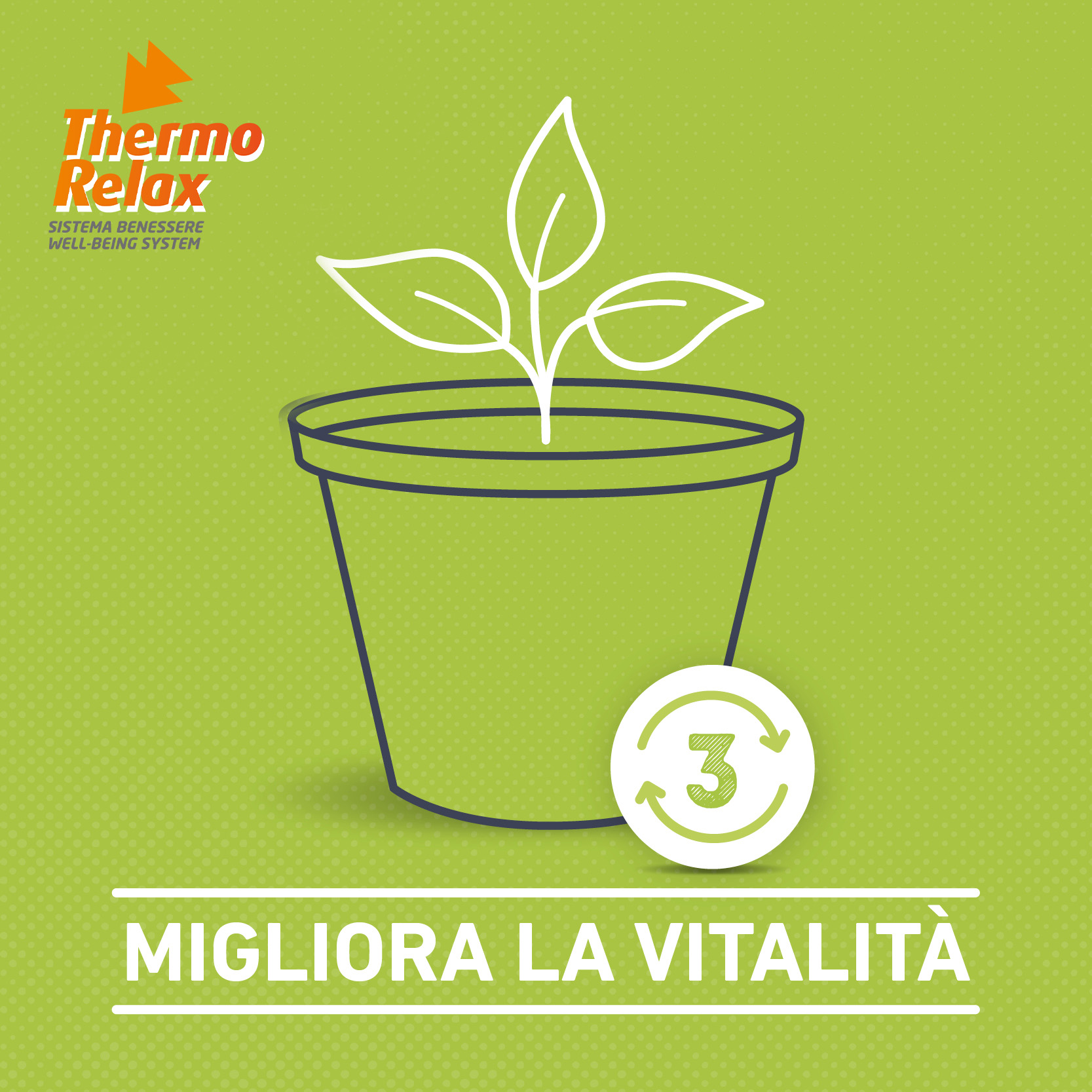 eco-friendly_fase3